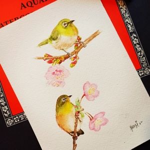 Original Watercolor painting Birds